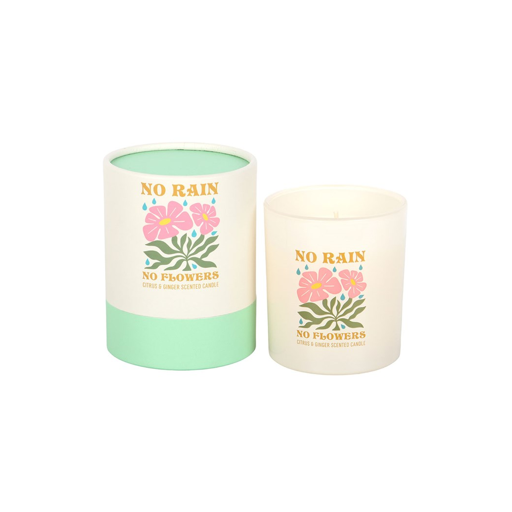 Candle and packaging with 'No Rain, No Flowers' text and floral design on a white background