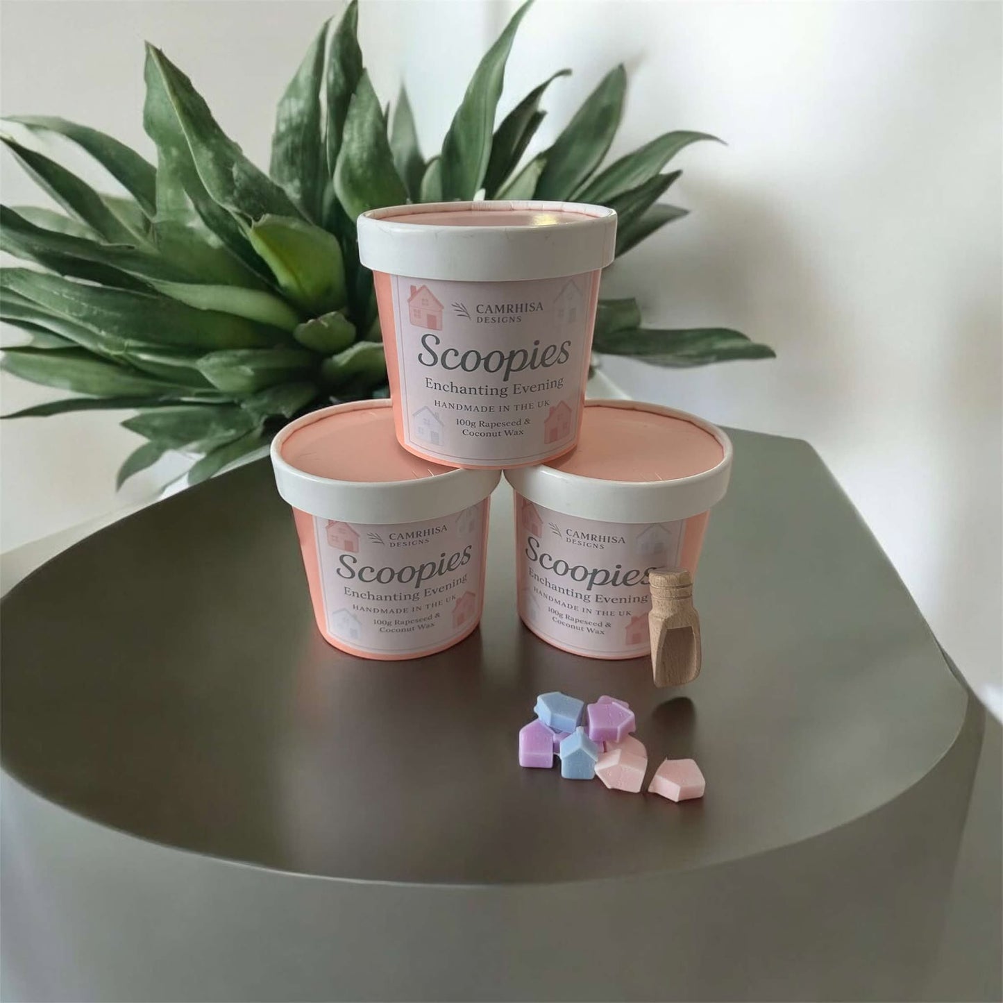 Scoopies - Enchanting Evening