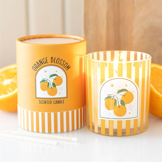 Orange blossom scented candle with packaging and sliced oranges on a light background
