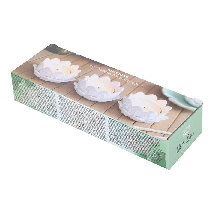 Box of white lotus tea light holders on a white background