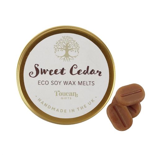 Tree of Life Wax Warmer Gift Set – Sweet Cedar Scented Soy Melts